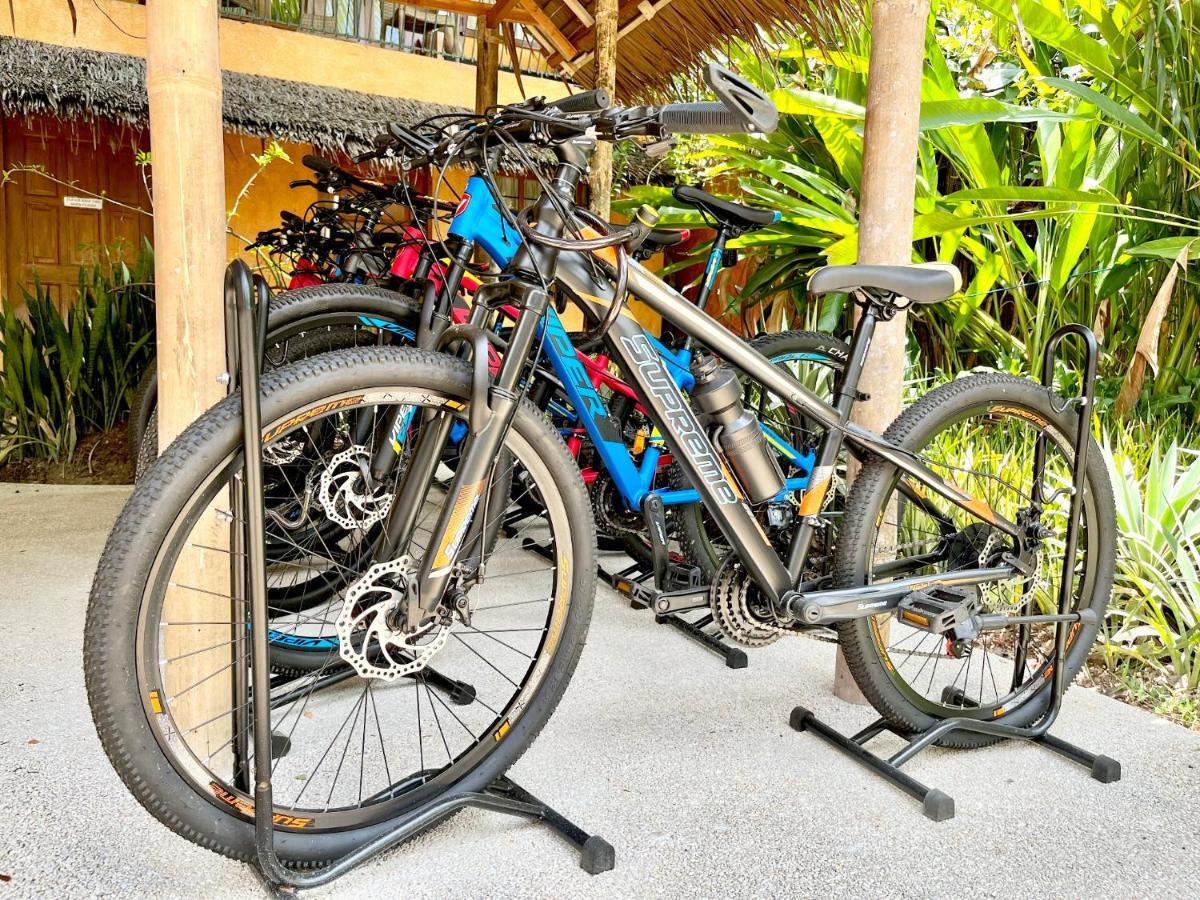 Coco Grove Beach Resort, Siquijor Island Zewnętrze zdjęcie A bicycle on a bike stand